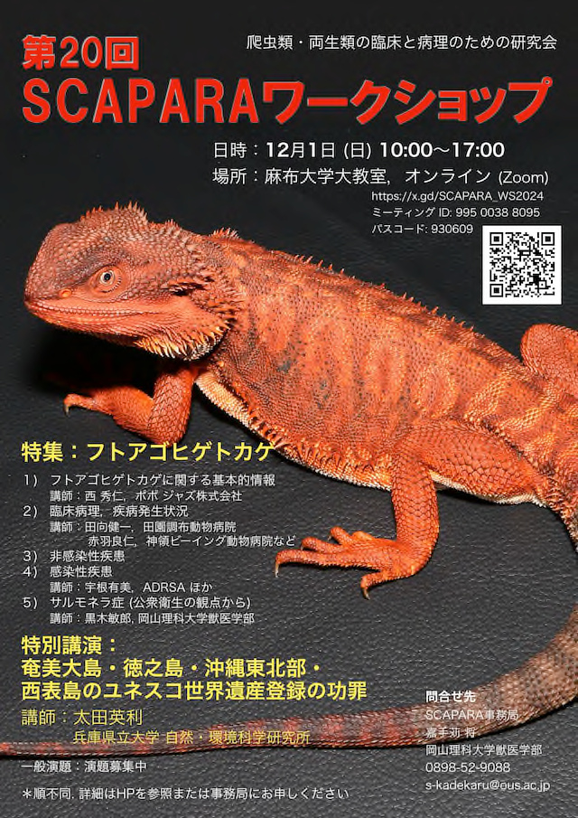 SCAPARAWS2024_poster