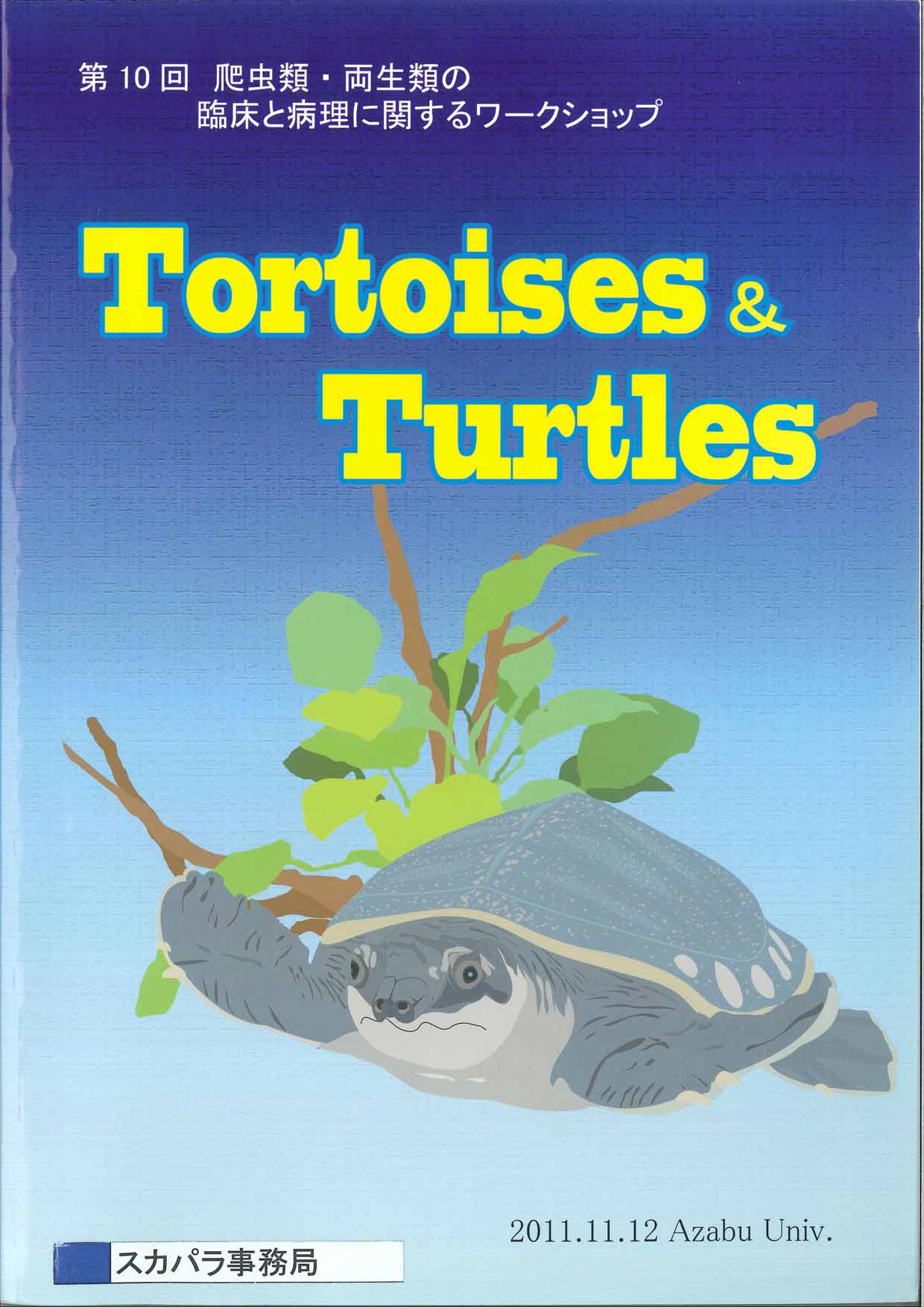 Tortoises%20%26%20Turtles